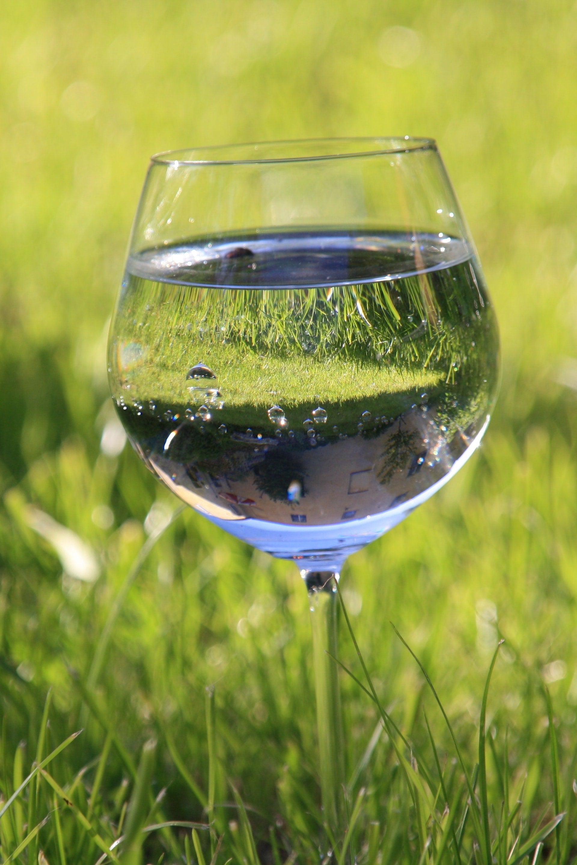 How Many Bottles of Water Should You Drink in a Day?