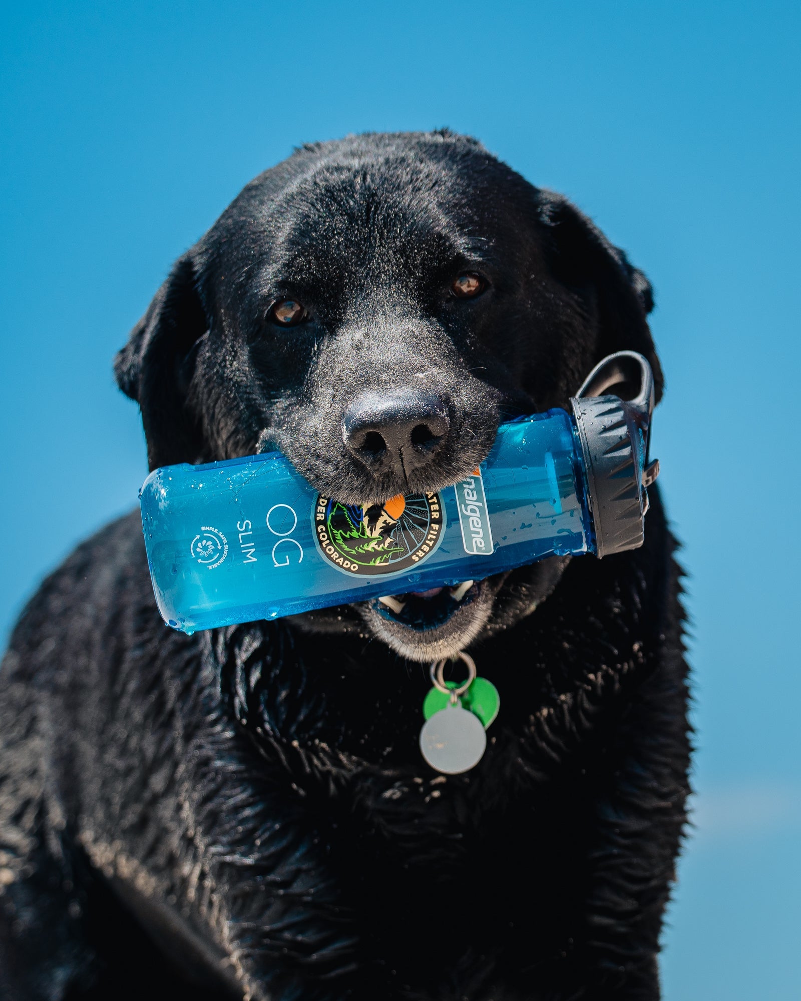 Epic Nalgene OG Slim | 24 oz Epic Water Filters USA