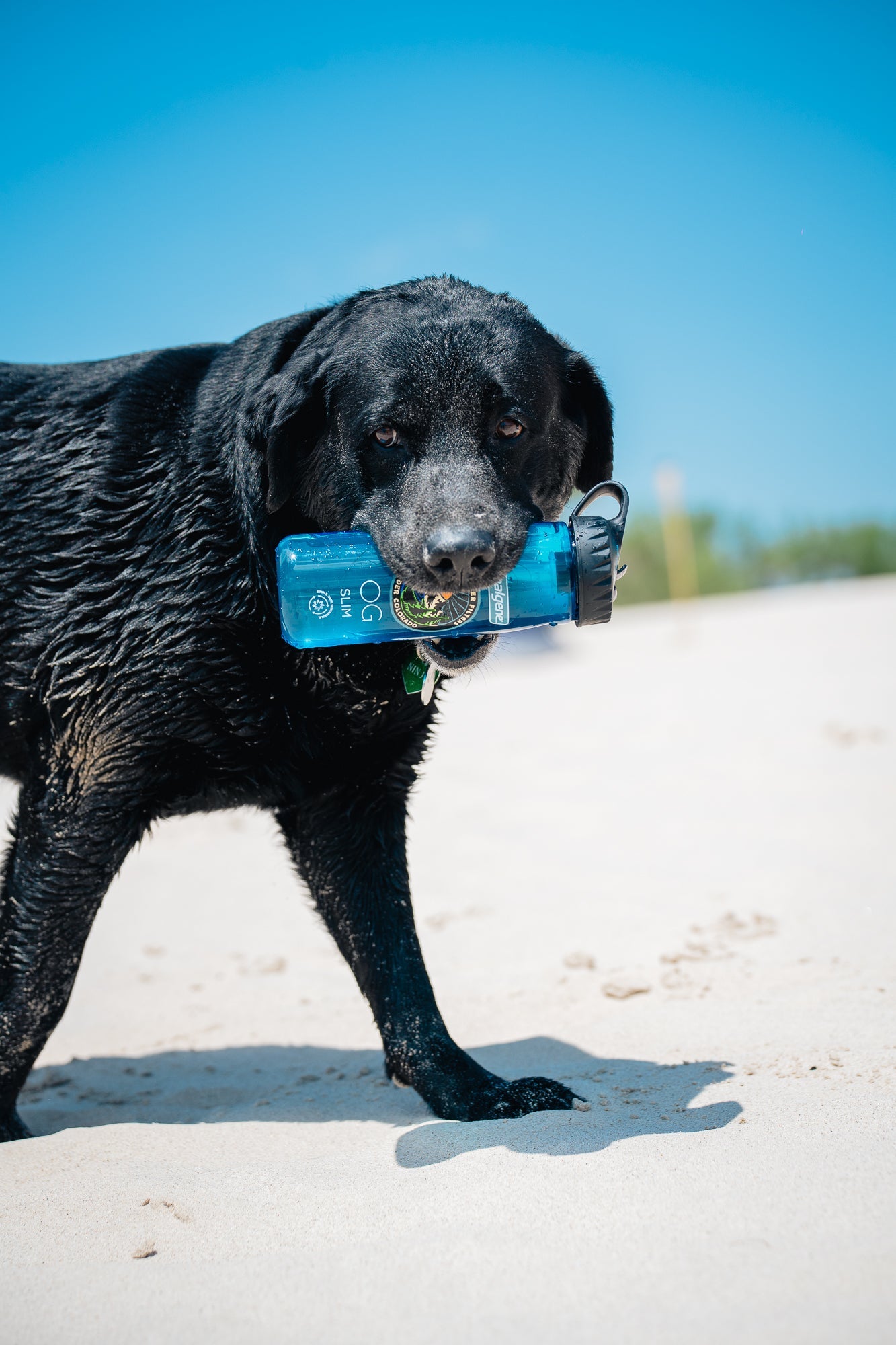 Epic Nalgene OG Slim | 24 oz Epic Water Filters USA