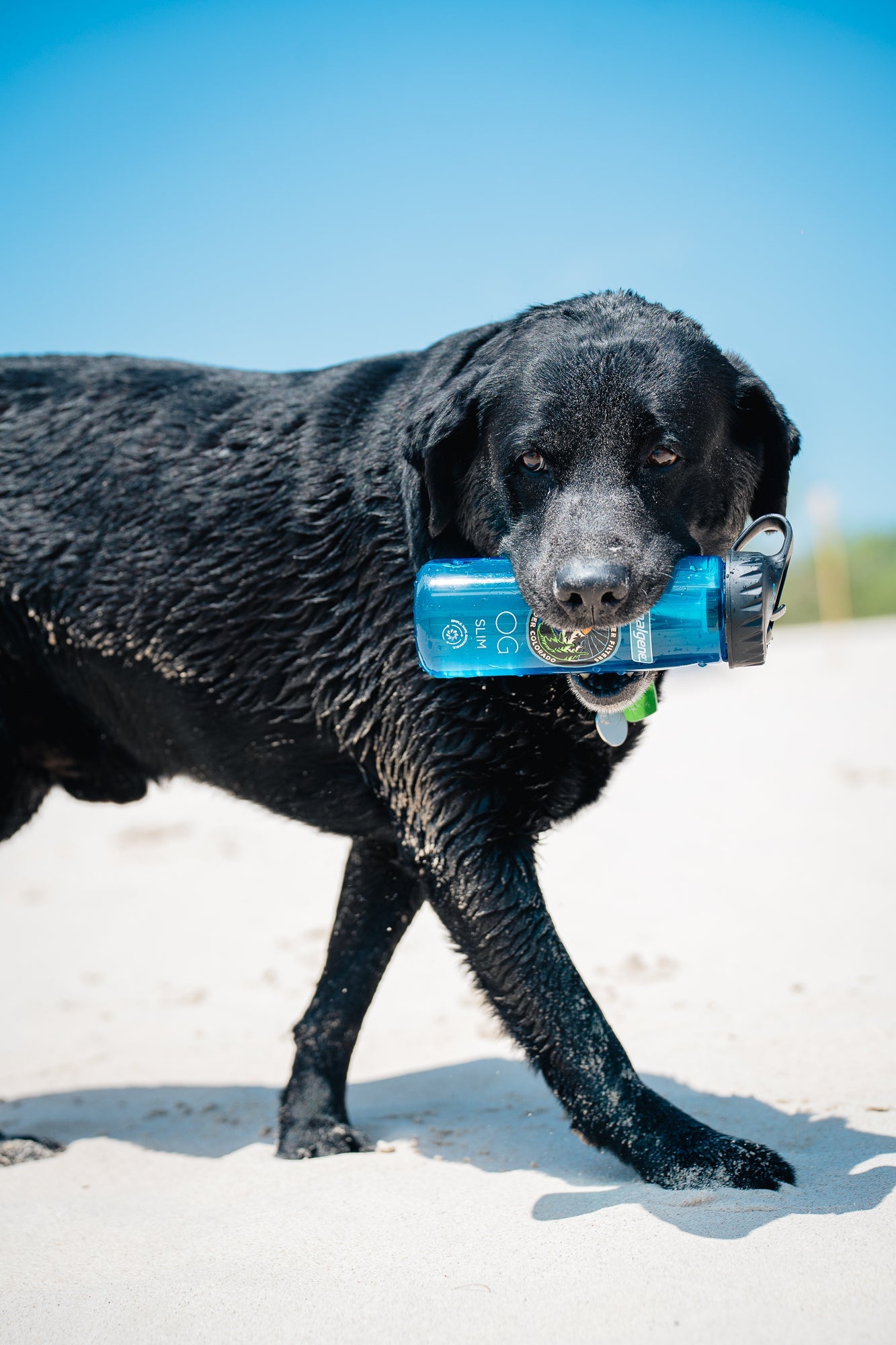 Epic Nalgene OG Slim | 24 oz Epic Water Filters USA