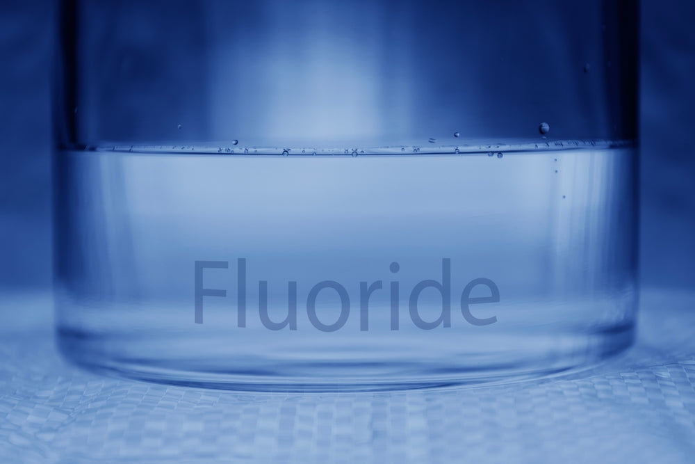Fluoride and Public Health: Key Developments in 2024