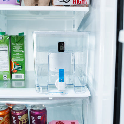 Pure XP Dispenser | Reduces Fluoride & PFAS | More Capacity, Less Refills.