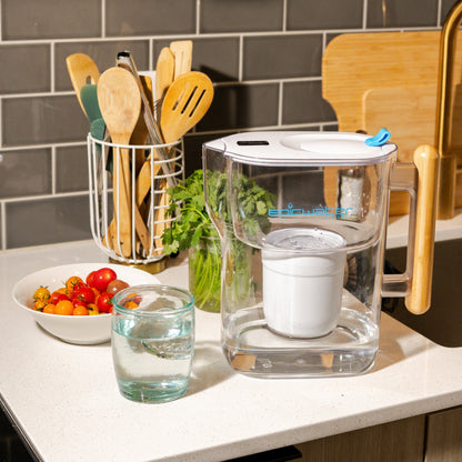 Pure XP Water Filter Pitcher | Reduces Fluoride, PFAS, & Parasites